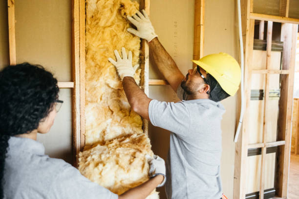 Best Soundproof Insulation  in Dublin, OH